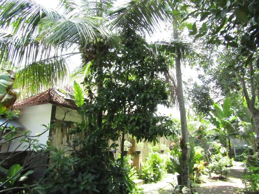 Svaka Homestay Ubud